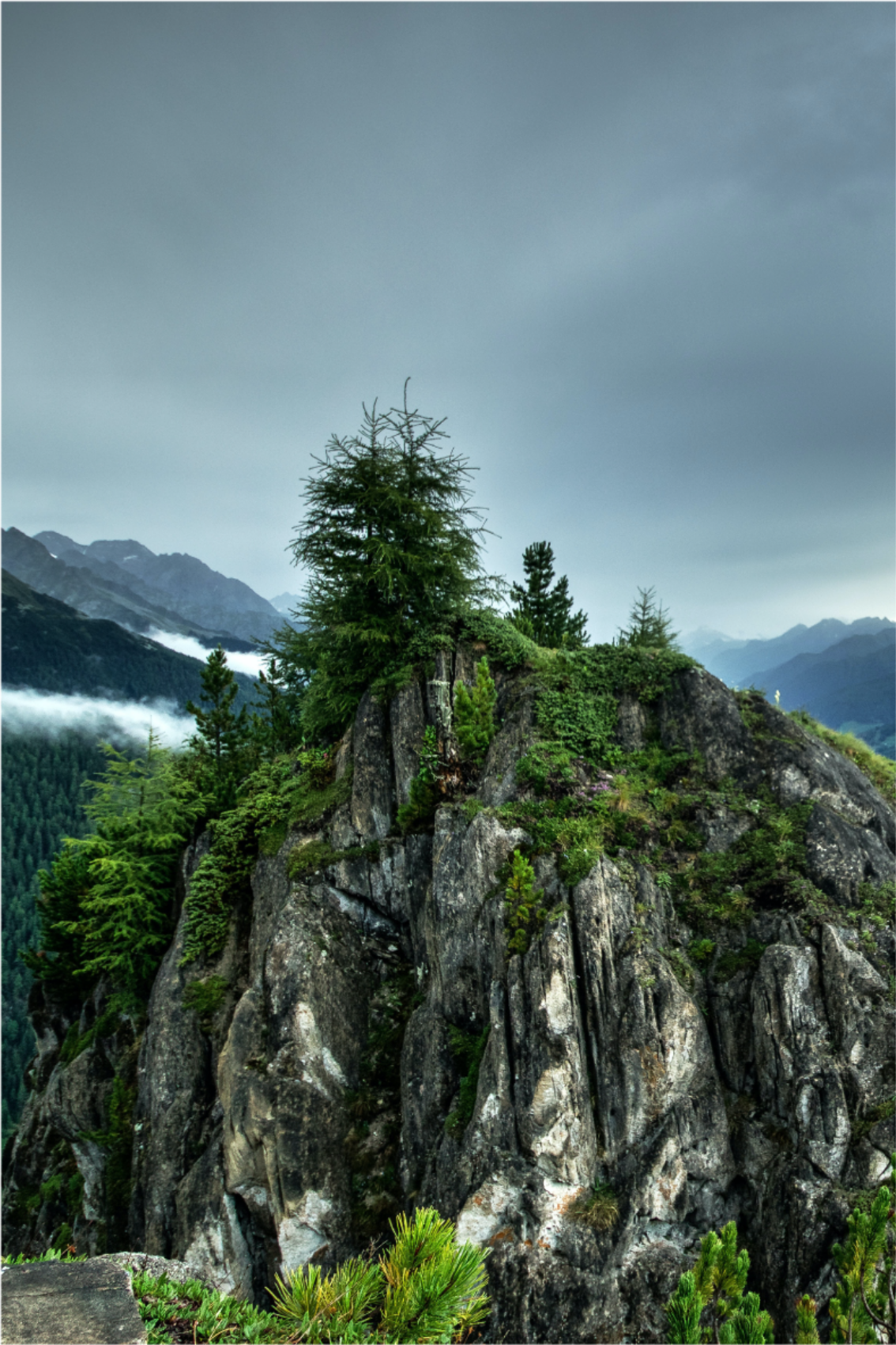 Plakat stue enkelt klippe i grøn skov - TenStickers