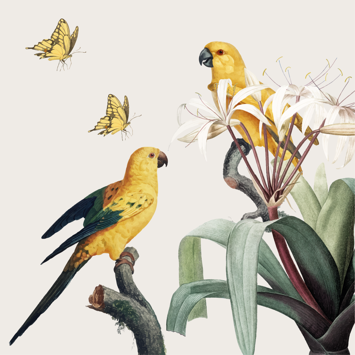 Plakat stue papegøjer med gule blomster og sommerfugle - TenStickers