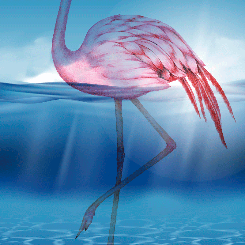 Plakat stue undervandsdesign af flamingo - TenStickers