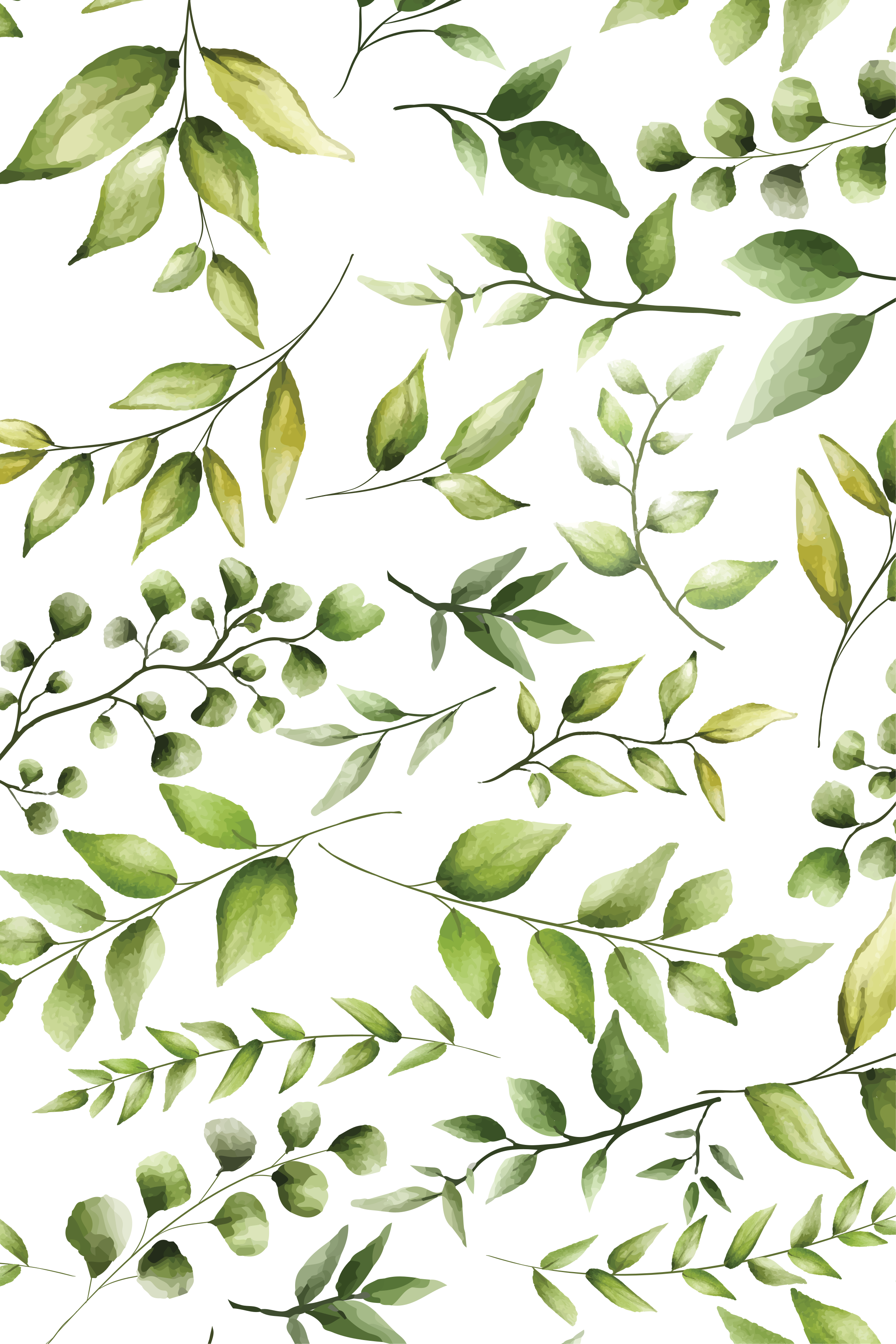 Plakat planter med akvarel eukalyptusblade - TenStickers
