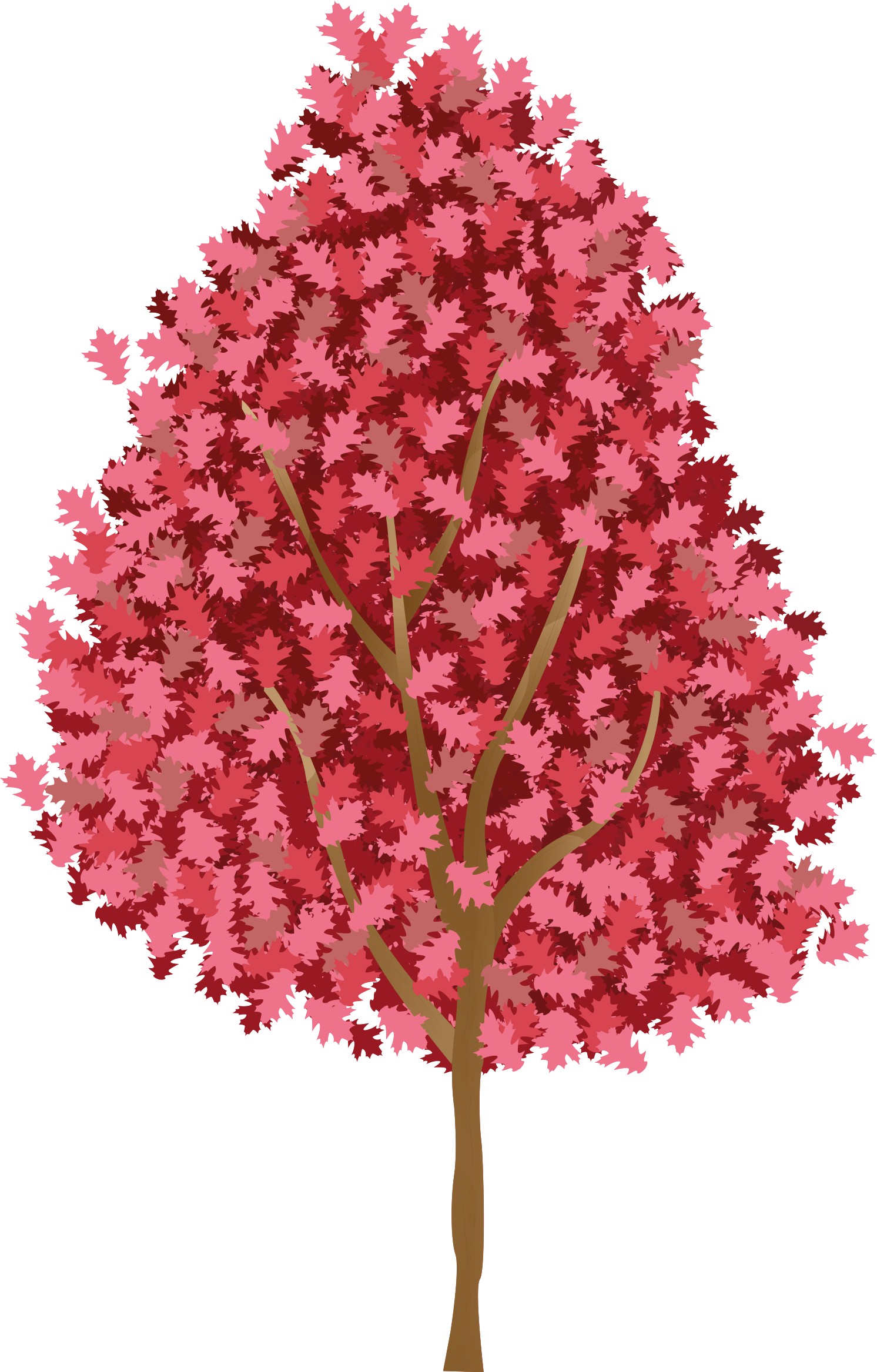 Plakat med træer med lyserøde blomster - TenStickers