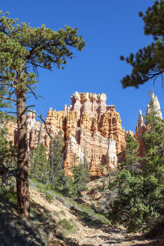 Landskab plakat bryce canyon - TenStickers