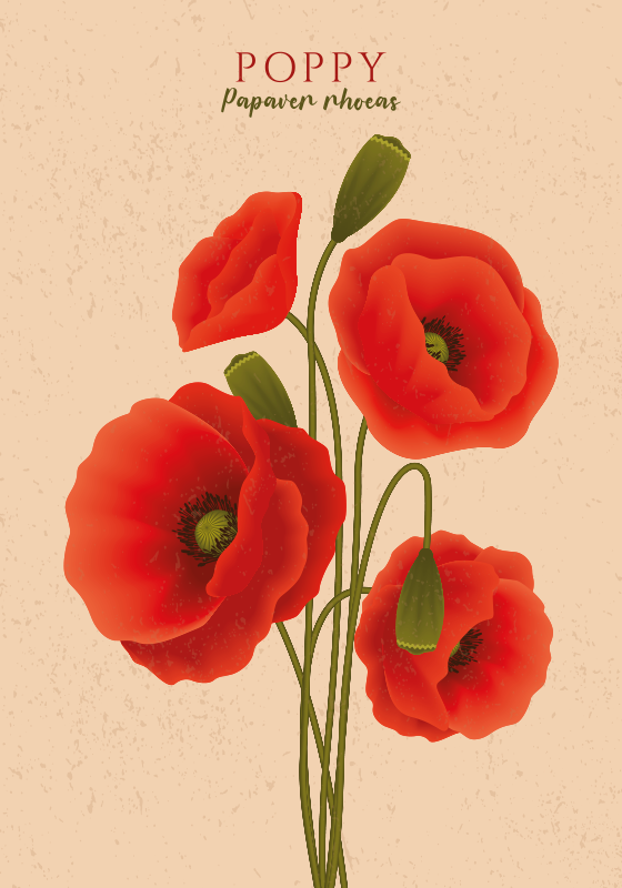 Plakater med blomster valmuer - TenStickers