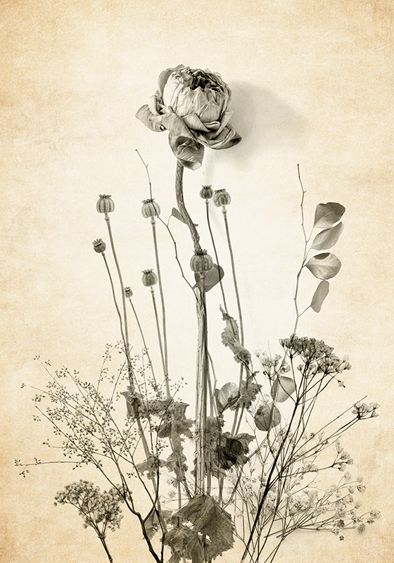 Buket blomster på beige baggrund Blomster plakat - TenStickers