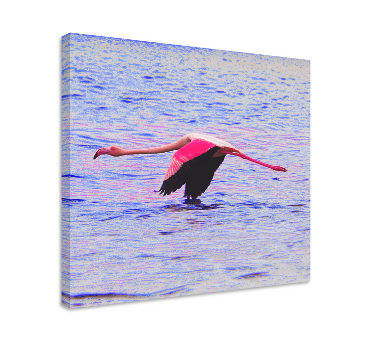 Fisk lærredsbillede flamingo i flugt - TenStickers