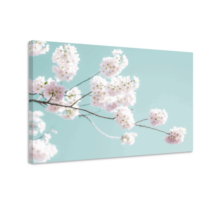 Blomster og planter lærredsbillede sakura bloom stem - TenStickers