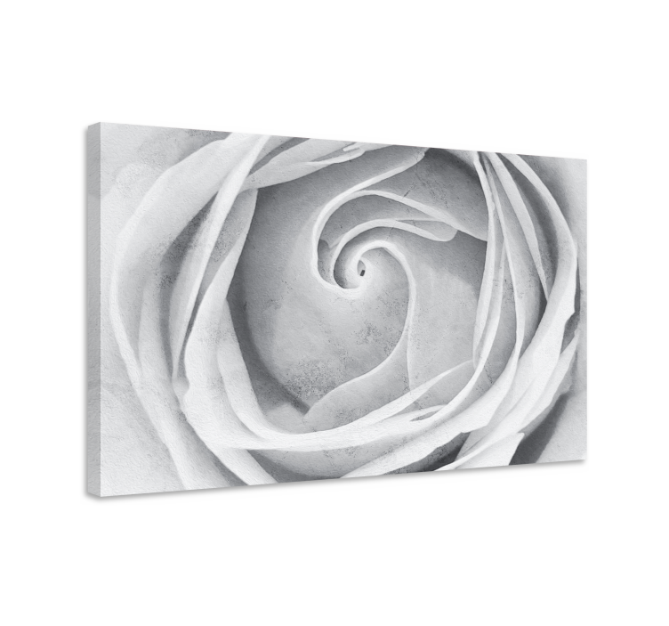 Blomster og planter lærredsbillede elegant rosen spiral - TenStickers