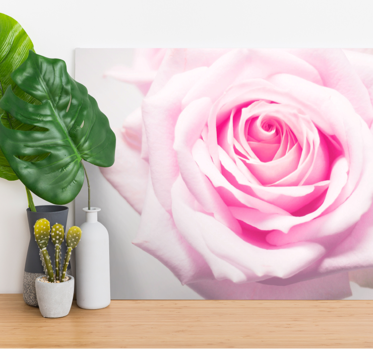 Blomster og planter lærredsbillede blush rose blomst - TenStickers