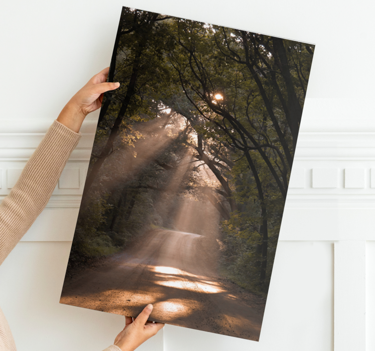 Landskab lærred solskins skovsti - TenStickers