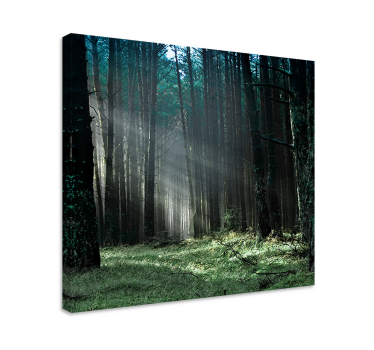 "natur" blå tåge skov træ lærred print - TenStickers