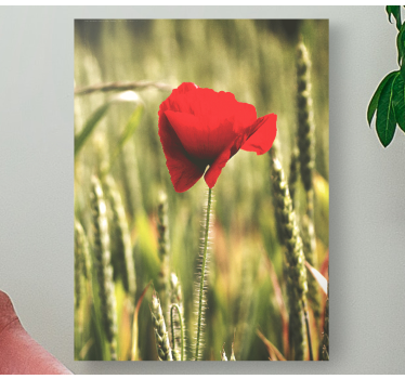 Enkelt valmue med hvedeblomstret lærred - TenStickers