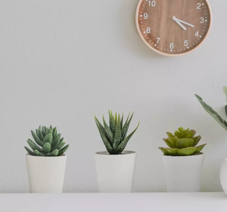 3d kaktus gryder klistermærker - TenStickers