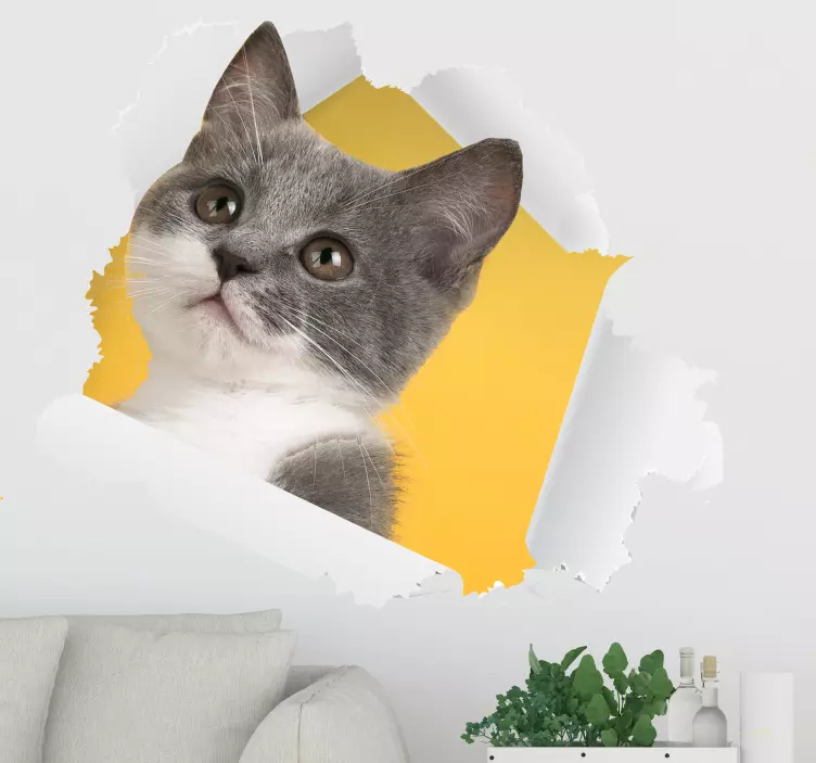 3d kat klistermærke væg klistermærke - TenStickers