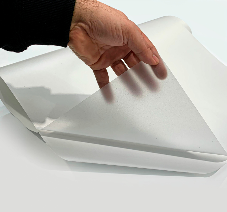 Gennemsigtig grundlæggende vindue sticker - TenStickers