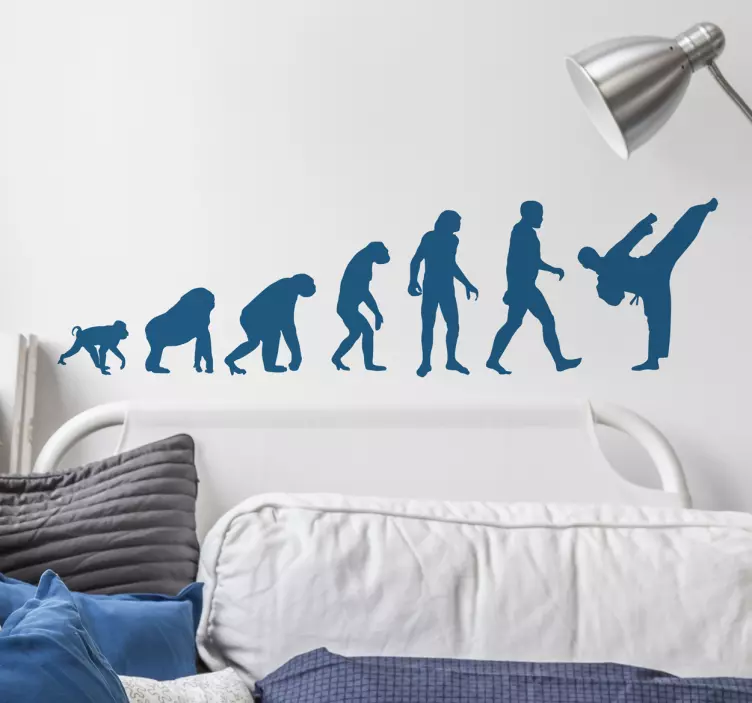 Karate evolution karate - TenStickers