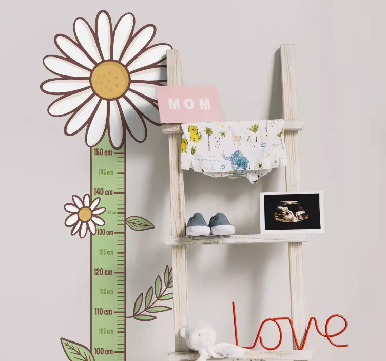 Daisy blomster højde diagram vægoverføringsbillede - TenStickers