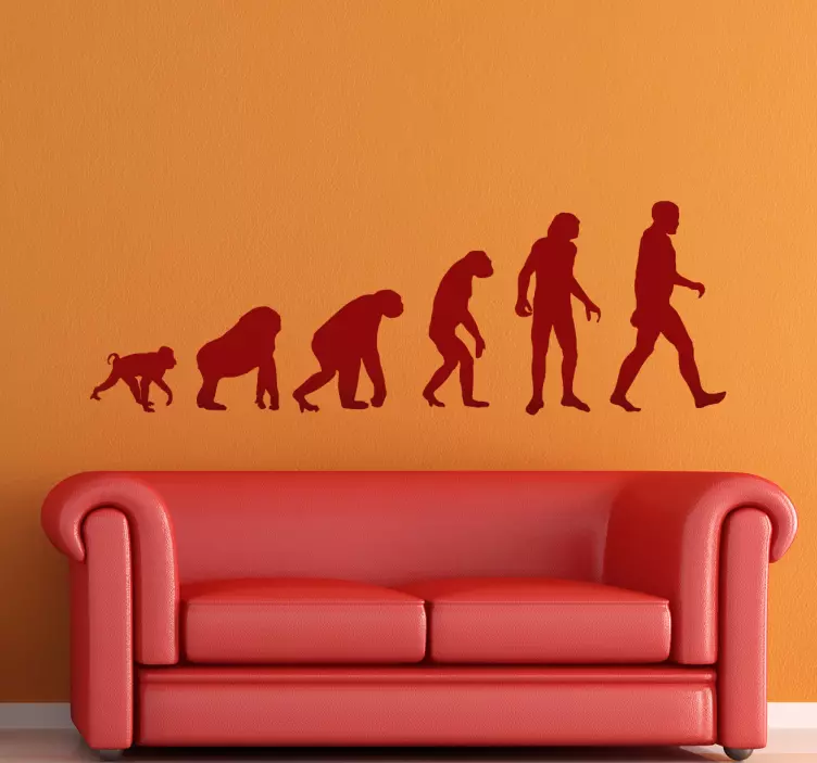Menneskelig evolution silhuet klistermærke - TenStickers