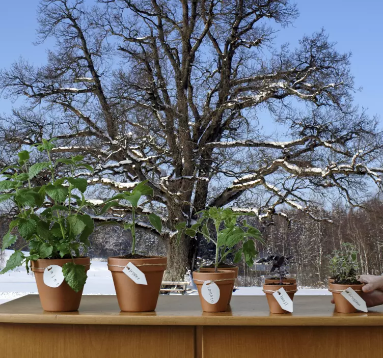 Vinter træ vægmaleri - TenStickers