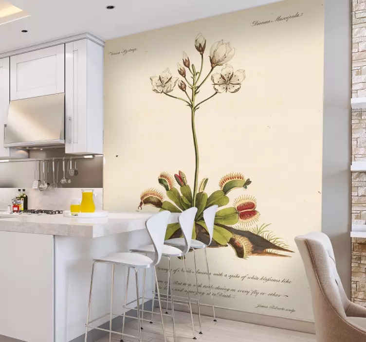 Wallstickers blomster antik botanisk plante - TenStickers