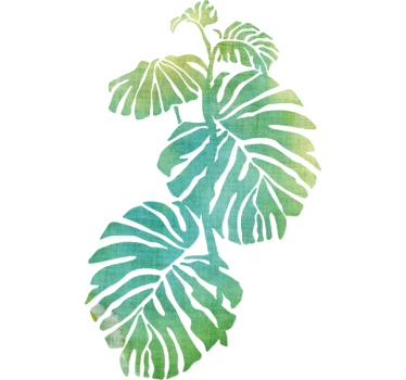 Monstera deliciosa vægklistermærke - TenStickers