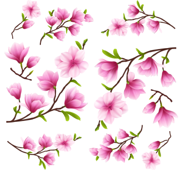 Farverige magnolia blomster vindues klistermærke - TenStickers