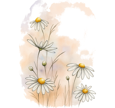 Akvarel marguerit blomster folie til møbler - TenStickers