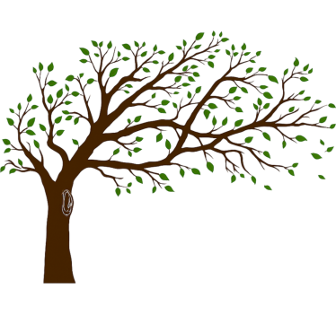 Farverigt sandhedens træ stue wallsticker - TenStickers