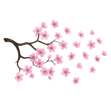 Klistermærke til bil pink kirsebærblomst - TenStickers