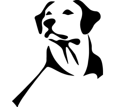 Labrador retriever hund bil mærkat - TenStickers