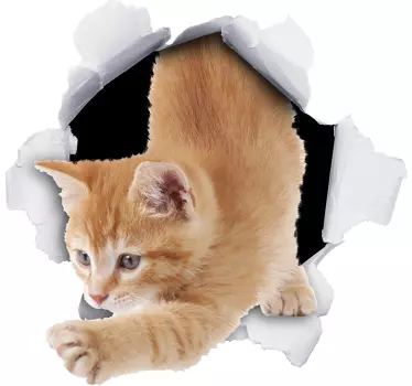 Kat trompe l'oeil mærkat - TenStickers