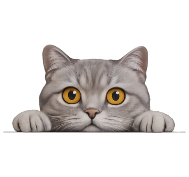 Vindues klistermærke nysgerrig kat der kigger - TenStickers