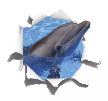 Dolphin visuelle effekter væg klistermærke - TenStickers