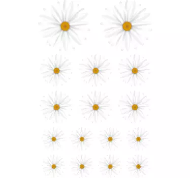 Mønster med tusindfryd blomster vægoverføringsbillede - TenStickers