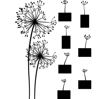 Mælkebøtte billeder blomster vægoverføringsbillede - TenStickers