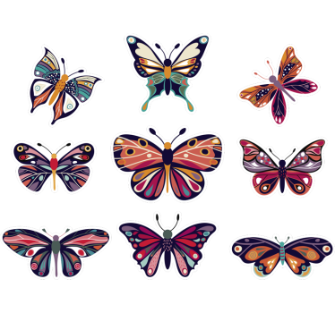 Sommerfugle vindue dekoration vindue dekal - TenStickers