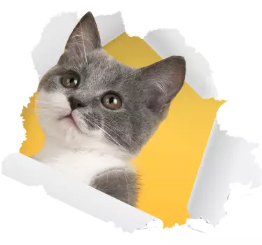 3d-kat klistermærke vægdekor - TenStickers