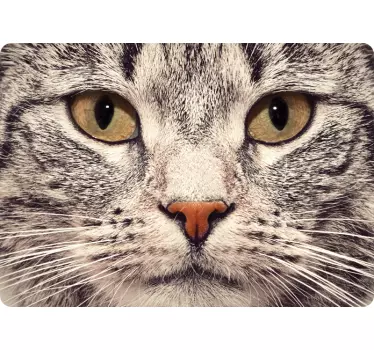 Kat ansigt bærbar computer hud - TenStickers