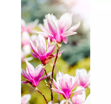 Magnolia blomster dekoration vindue mærkat - TenStickers