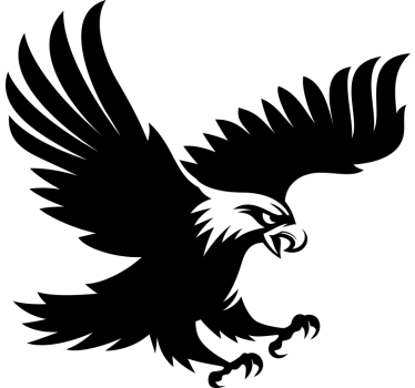 Eagle Klistermærke til bil - TenStickers