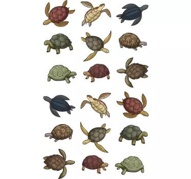 Forskellige skildpadder dyr klistermærke - TenStickers