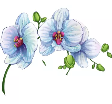 Hvid orkidé blomst vægoverføringsbillede - TenStickers