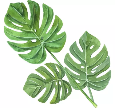 Monstera akvarel blade plante Wallsticker til stuen - TenStickers