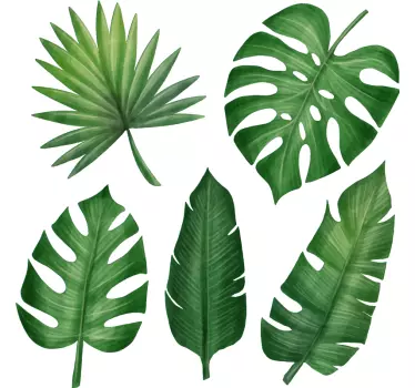 Realistisk tropisk blad samling plante vægindretning - TenStickers