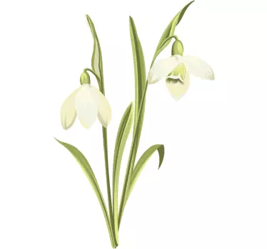 Snedråbe plante blomst vægoverføringsbillede - TenStickers