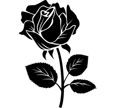 Temmelig fed rose mærkat - TenStickers