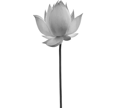 Gråskala lotus blomst væg indretning - TenStickers