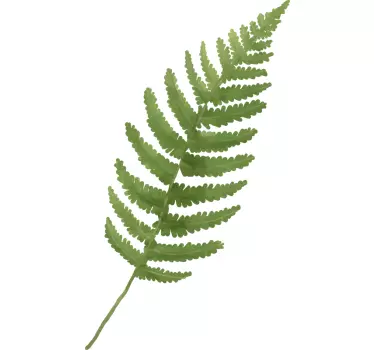 Mærkater med bregne bladplanter - TenStickers