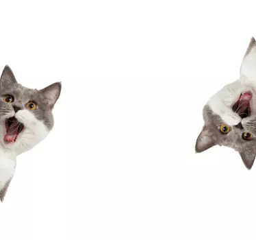Kat spionerer på hvid baggrund laptop klistermærker - TenStickers