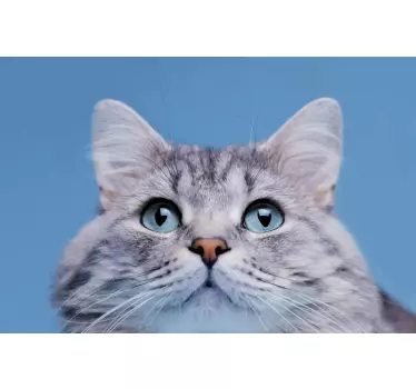 Søde kat ansigt laptop klistermærke - TenStickers