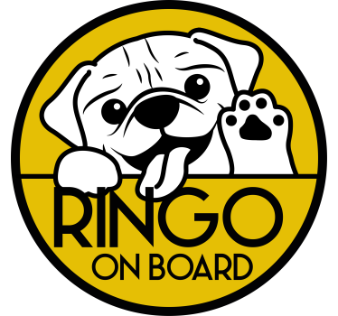 Monocolor dejlig hund kigger bil klistermærker - TenStickers